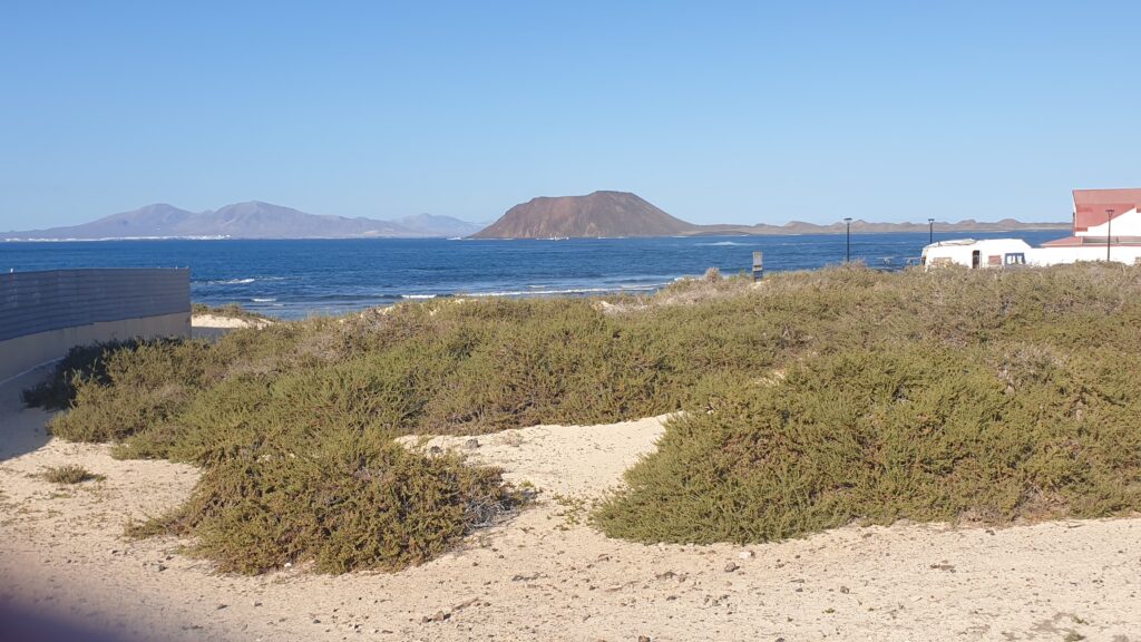 Sunny Fuertaventura 